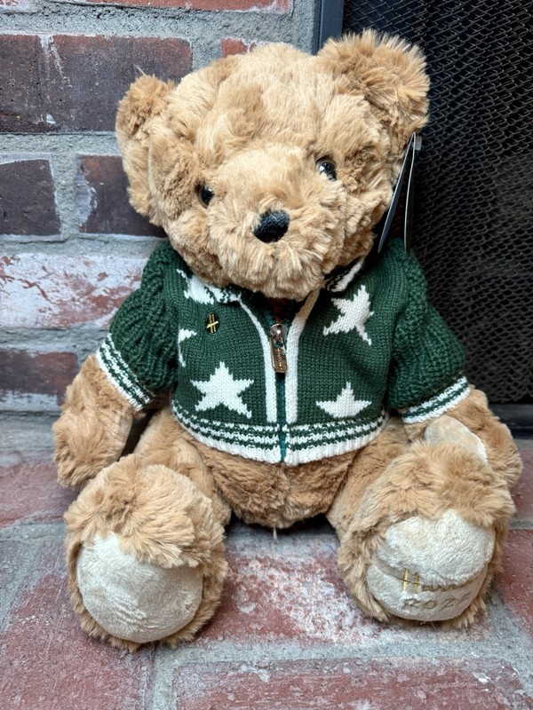 Harrods 2022 Christmas Teddy Bear -Louie- Plush Toy