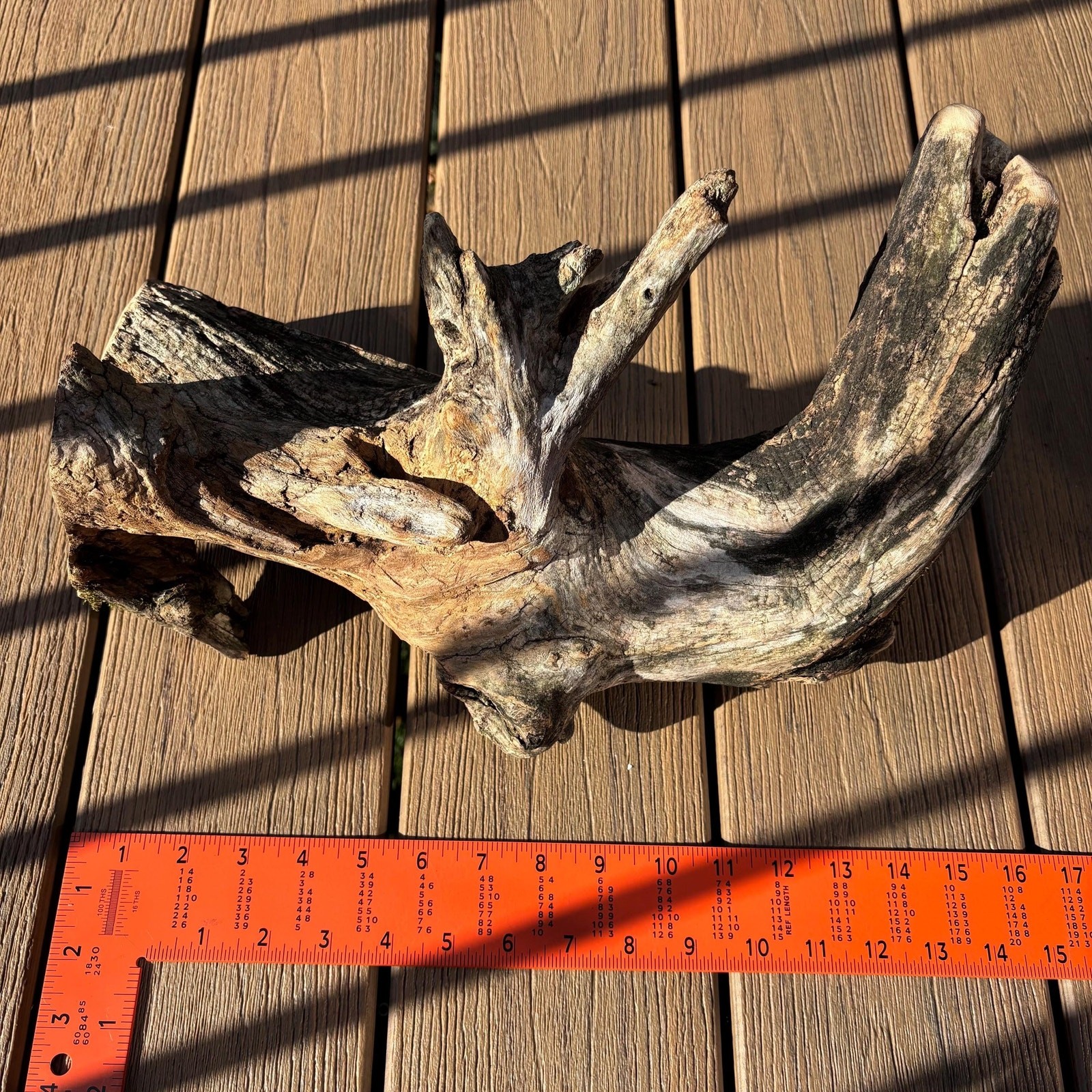 Hardwood Driftwood Tree 16x6x9 – Mossy Natural Branch Sculpture for Home Decor