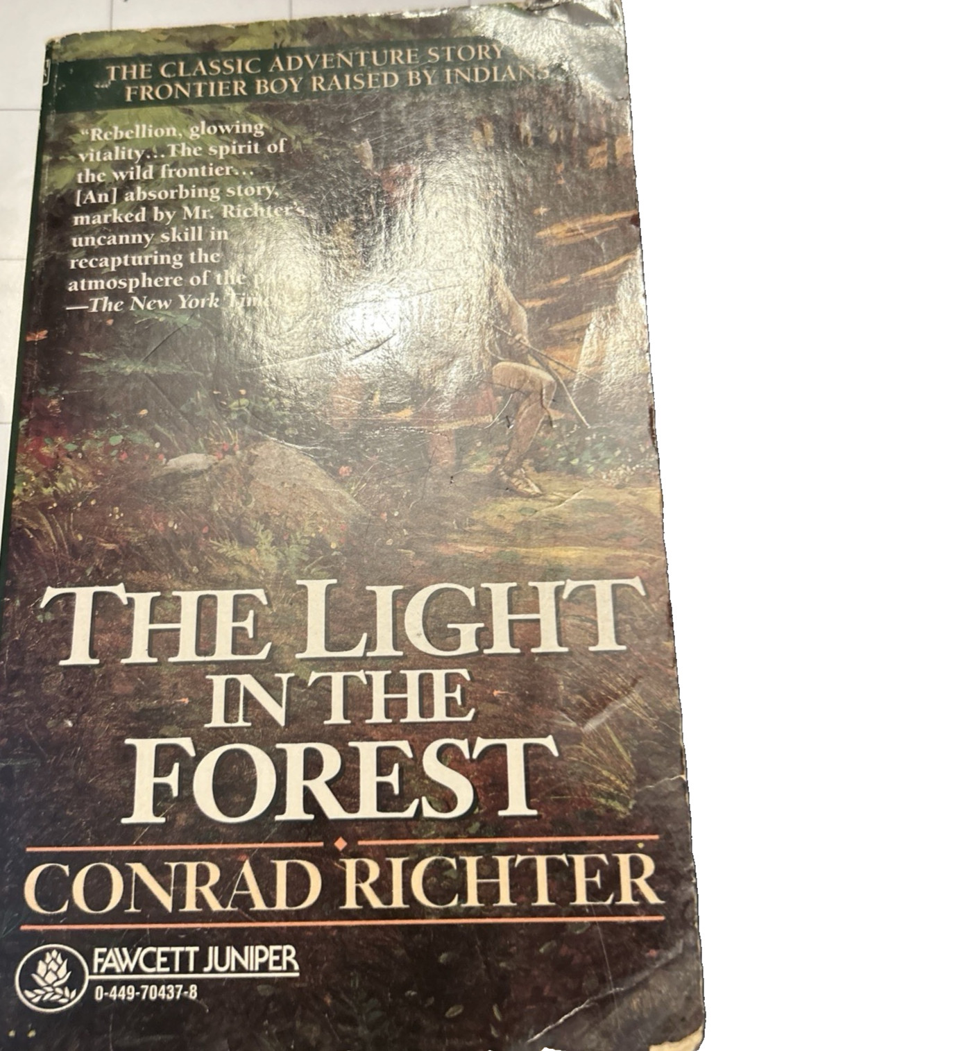 The Light in the Forest