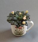 African Violet Let'O Mashenka Bell shape Miniature PLANT — photo 2
