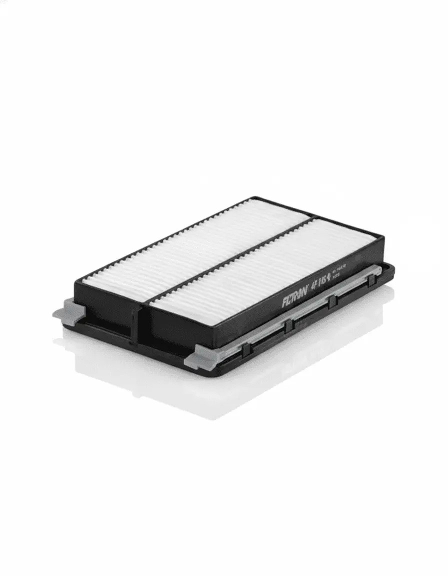 FILTRON AP 198/4 Filtro aria Cartuccia filtro - Immagine 2