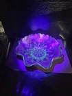 Rare Marigold Uranium Glass Fenton Carnival Holly Pattern Ruffled Bowl Glows