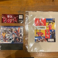 [Super rare item] CAPCOM Volleyball Tote Bag/Calendar/Card Set