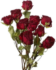 Tooget Natural Dried Flowers Bouquet, 10 Pcs Red Dried Roses Bouquet for Wedding