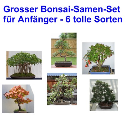 schneidebrett holz bambus Schneidebrett aus Bambus  oecolife Shop