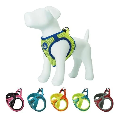 Dog Harness │ Athletica Puppy Harness for Small X Large (Chest: 20.5-22") Lime