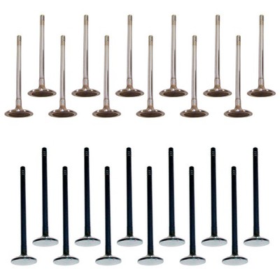 DNJ Engine 12 Intake & 12 Exhaust Valves Kit for Concorde Intrepid LHS Vision V6