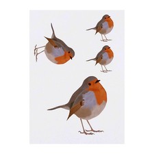 4 x 'Robin' Temporary Tattoos / Transfers TO00033255 