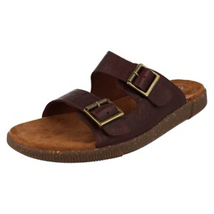 clarks vine cedar