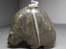 ZUNI FETISH F- 4526 PETOSKEY STONE MEDICINE BEAR BY FARLAN & PAULETTE QUAM
