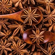 Eva Impex Star Anise Whole - Chakra Phool