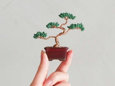 Japanese Planters' Choice Bonsai toy Starter Kit 