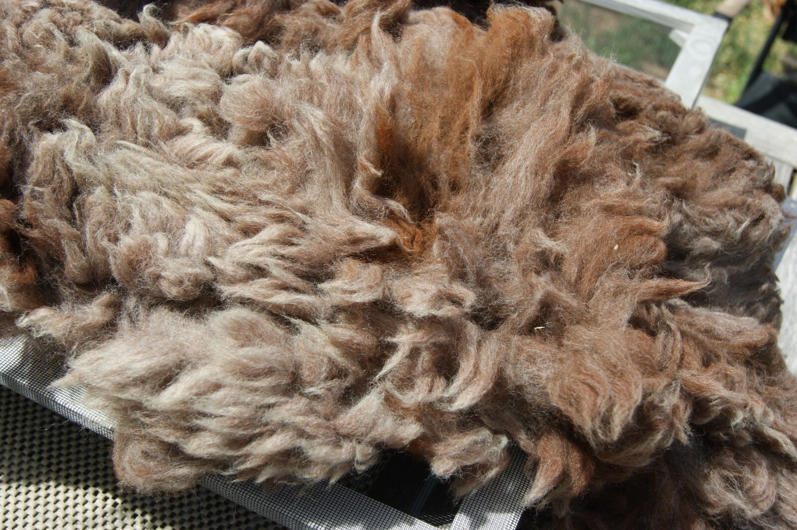 Picture 3 of 8