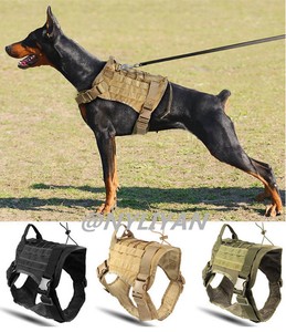 k9 tactical training