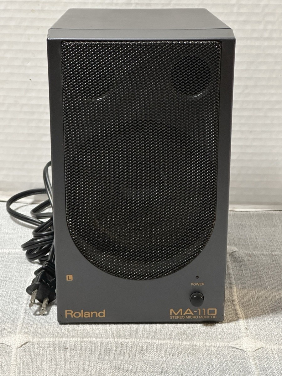 Roland MA-110 Micro Monitor Speaker (Single) | eBay