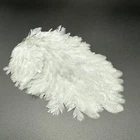 Soft Hackle Hen Saddle Patch Fly Tying - Dun