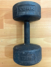 YORK 1X 17.5kg legacy Dumbbell Black Cast Iron
