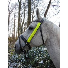 Horse Halter Fluo Strap Reflective Fleece Lining Quality Rider Safety Exercise