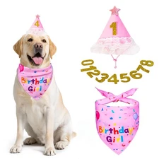 Dog Birthday Bandana Set Pink Birthday Girl Hat with Star Numbers Party