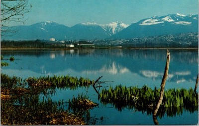 Burnaby Lake BC Coast Mountains Colour Postcard Canada