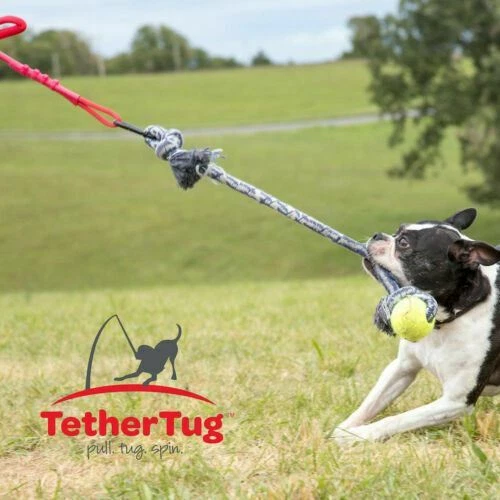 Juguete interactivo para perros Tether Tug V2 ejercicios interactivos de tirón de hasta 70 libras Foto 2 de 4