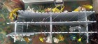 Large Lot Of Vintage Fishing Lures & Reels — photo 3