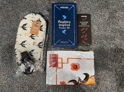 July 2025 Owlcrate YA Book Box Goodies *Missing pin*