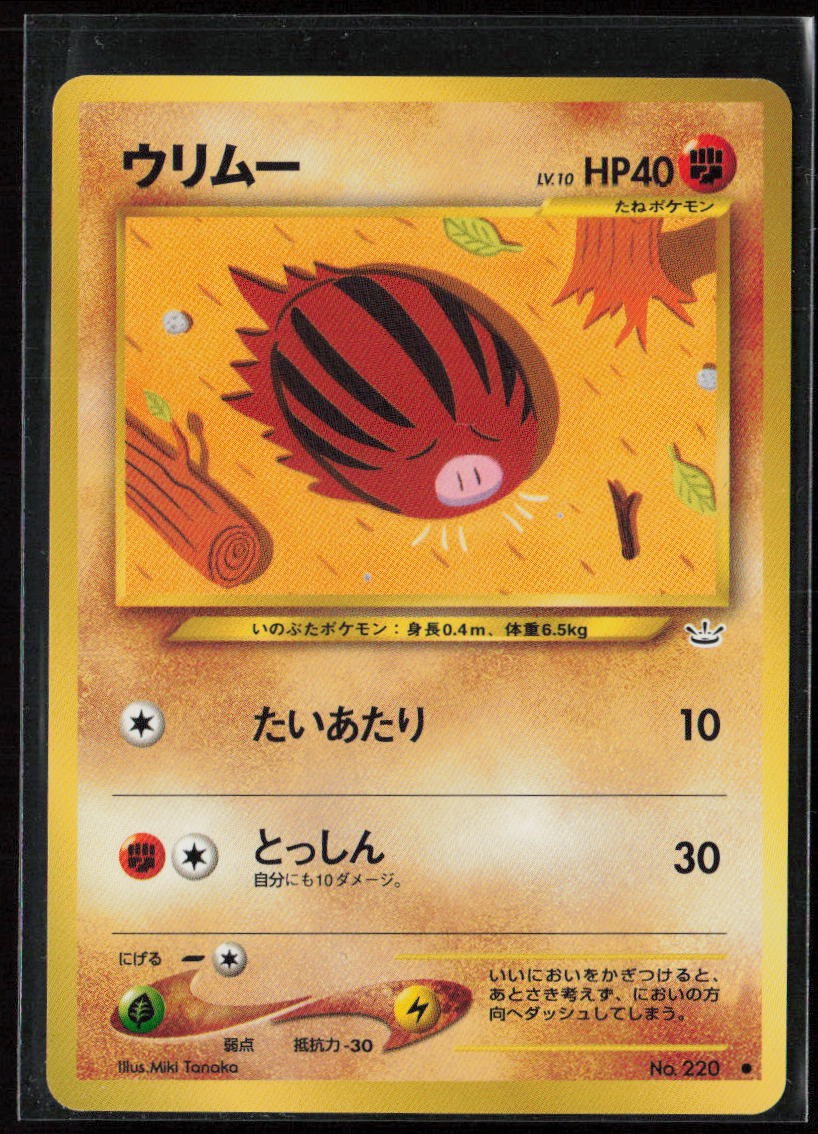 Awakening Legends Swinub
