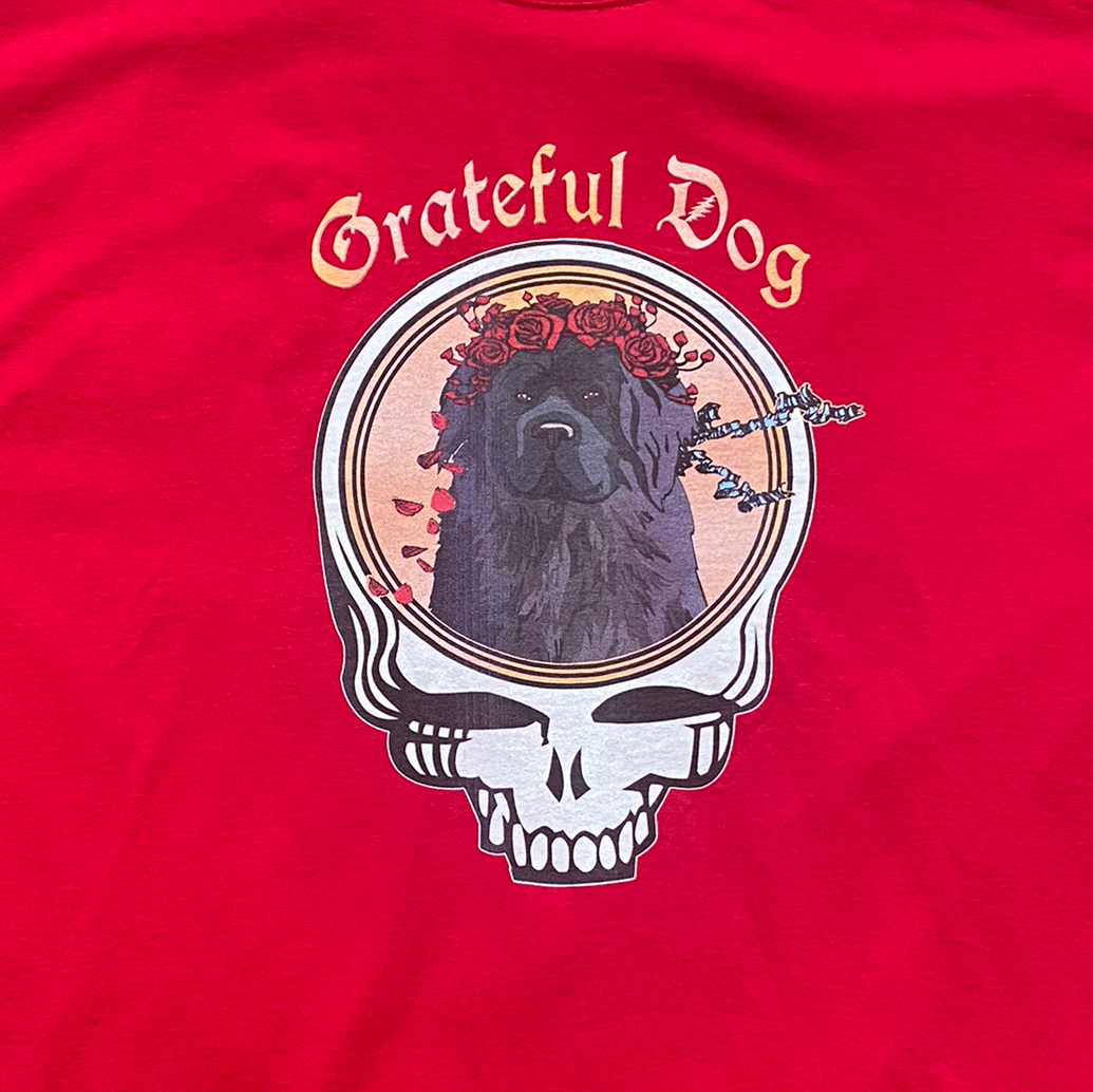 Hanes Mens Greatful Dog TShirt size 2XL Red Short Sleeve Skull eBay
