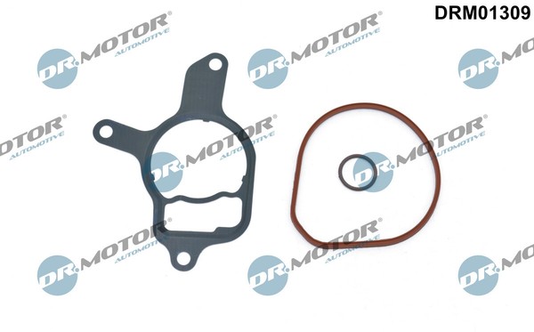 Dr.Motor Automobil DRM01309 Dichtungssatz, Vakuumpumpe FüR Audi, Cupra, VW-image