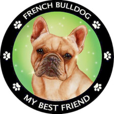Limited Ed. FRENCH BULLDOG PET DOG ANIMAL Pendant 925 Sterling Silver 18" Chain