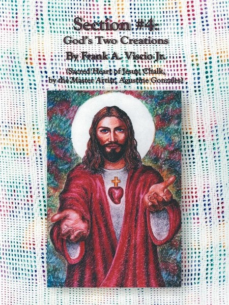 Frank A. Viscio | Section 4 | Taschenbuch | Englisch (2002) | 1st Book Library-image