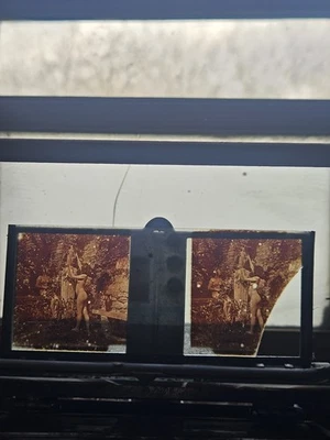 plaques stéréoscopiques en verre - Photo 1/3