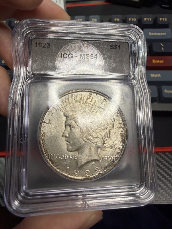 1923 Toned Peace Dollar ICG MS64 Chipped Slab