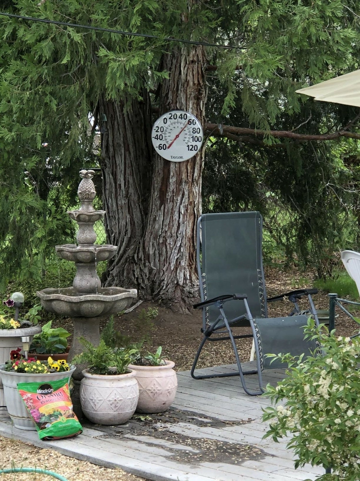 ebay yard garden outdoor living on Taylor Patio Thermometer 18 For Sale Online Ebay