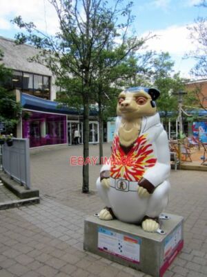 FOTO BIRMINGHAM BIG SLEUTH ICH WILL NUR DEIN TEDDYBÄR SEIN BÄR BIRMINGHAM CHI