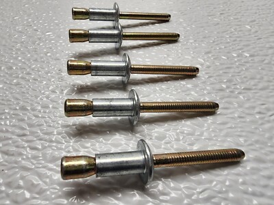 Multi-Purpose 1/4 Window Regulator Rivet for GM 10157547 Pack of 5 Rivets