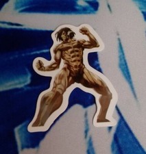 Attack On Titan Eren Sticker