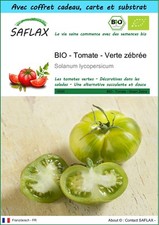 SAFLAX Kit cadeau - BIO - Tomate - Verte zébrée - 10 graines - Solanum