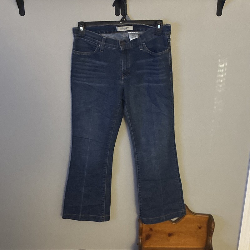 GAP Women’s Long & Lean Flared Dark Wash Blue Denim Jeans Size 6 5-Pocket