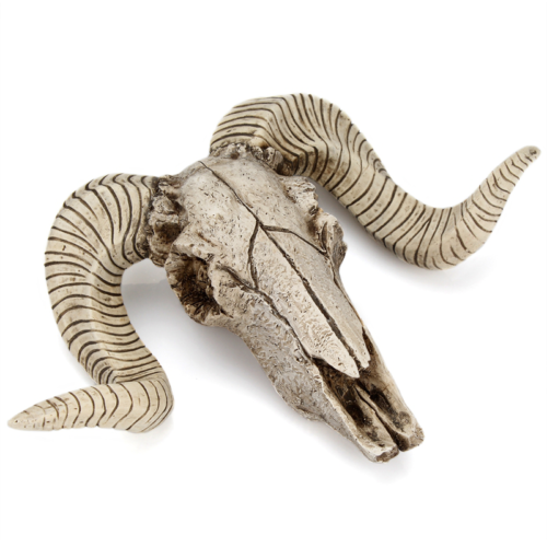 Creative Resin Sheep Head Skull Wall Religious Animal Longhorn Ram  Sculpture Fig 313022328398 | eBay