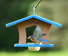 Kettle Moraine Single Recycled Cup Feeder Birdfeeder for Bluebirds Orioles