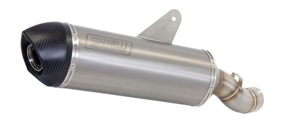 73684T2Y - Auspuff Giannelli MAXI OVAL Titan Yamaha X-MAX 400