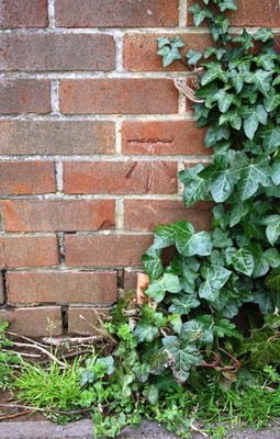 Foto 6x4 Benchmark an Wand der Ruscote Avenue Banbury \/SP4540 Ordnance Su c2016