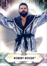2021 Topps WWE - Robert Roode #160