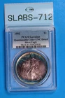 1993 $1 SILVER AMERICAN EAGLE PCGS COLOR TONED BU UNC MS US TYPE COIN SLAB-712