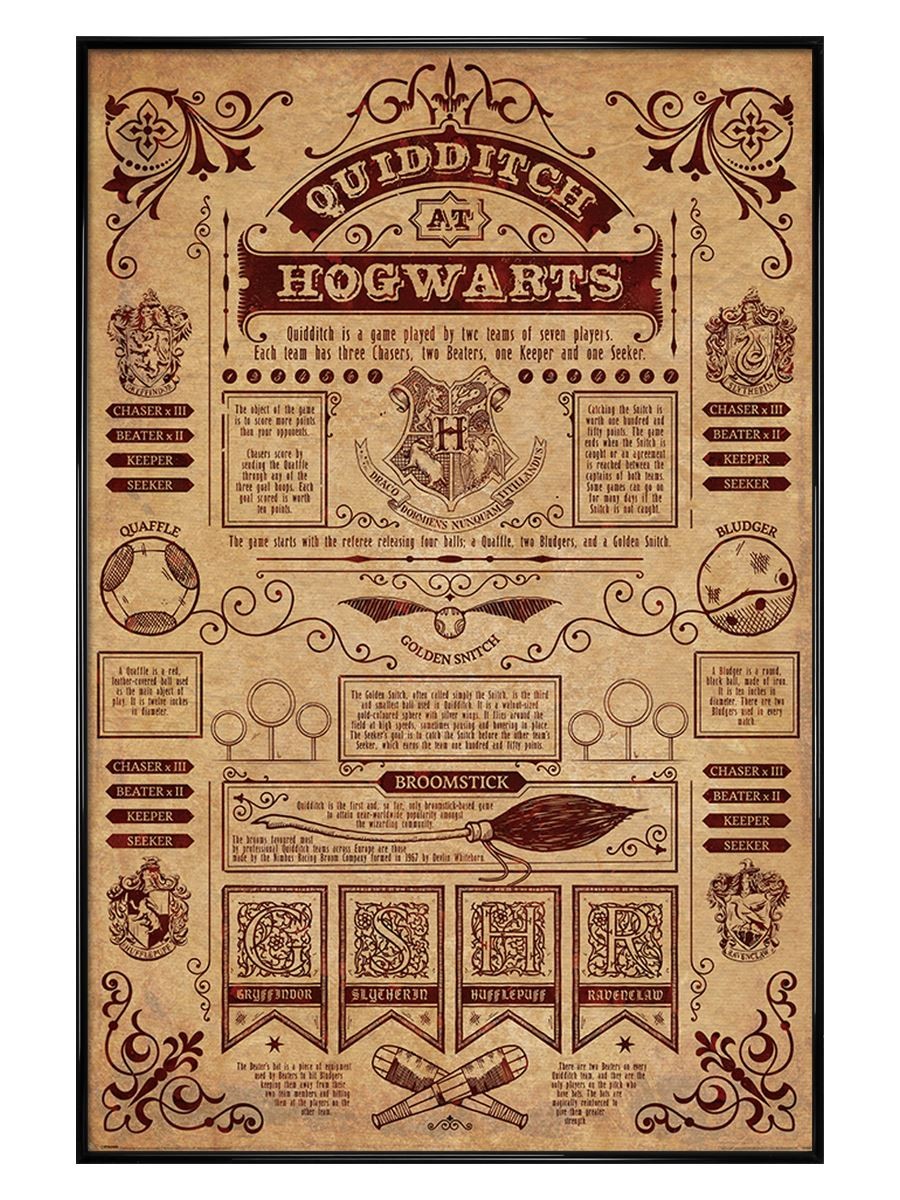 Harry Potter Quidditch At Hogwarts - Black Gloss Framed