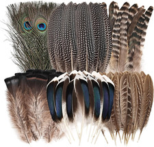 Natural Feathers Bulk - 55PCS - 6 Styles Assorted Natural Feathers, Peacock Feat