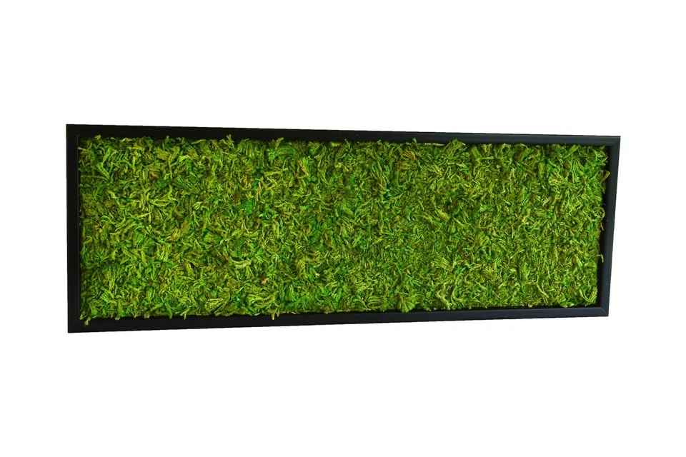 Moosbild, Wandbild mit Ostfrieslandmoos (ähnlich Islandmoos) Osterdekoration - Bild 3 von 4