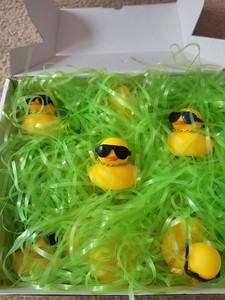21 Rubber Duckies W/ Sunglasses & Gold Chains Novelty Hot Glued Shut Hole w/ Box